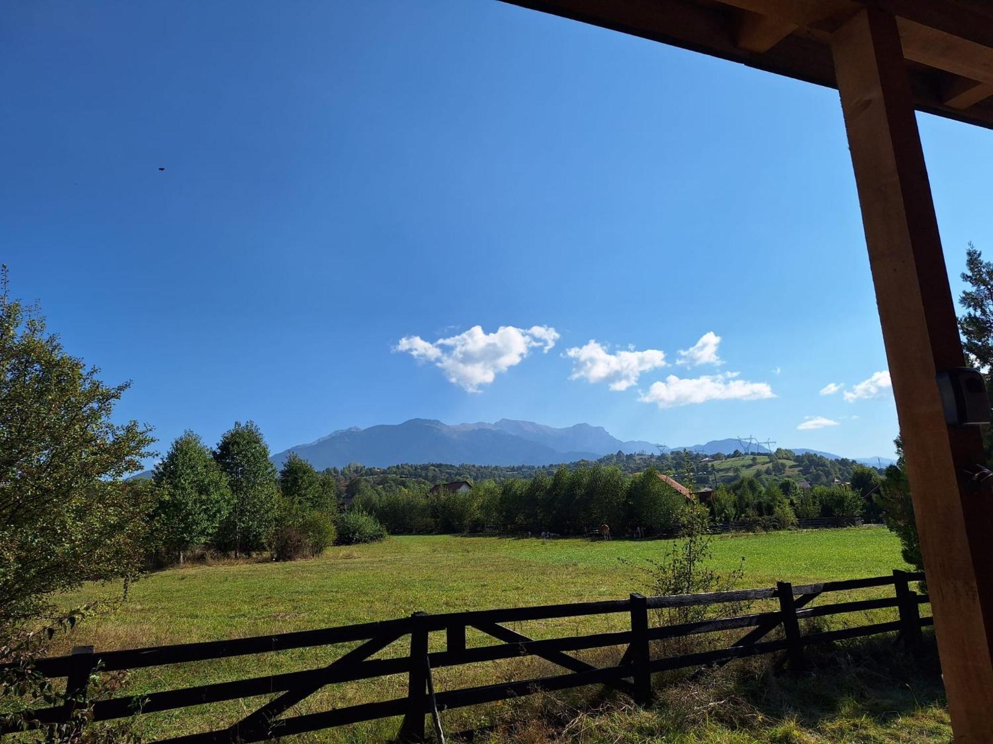 Bran White Clouds House And Chalet Bagian luar foto