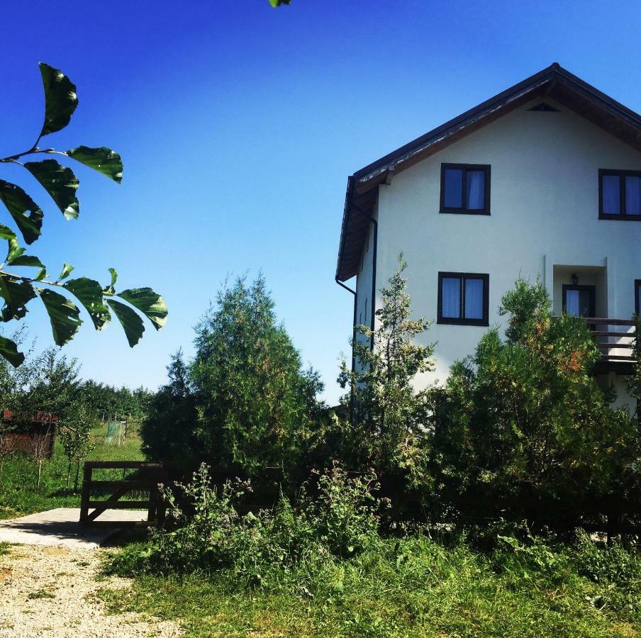 Bran White Clouds House And Chalet Bagian luar foto